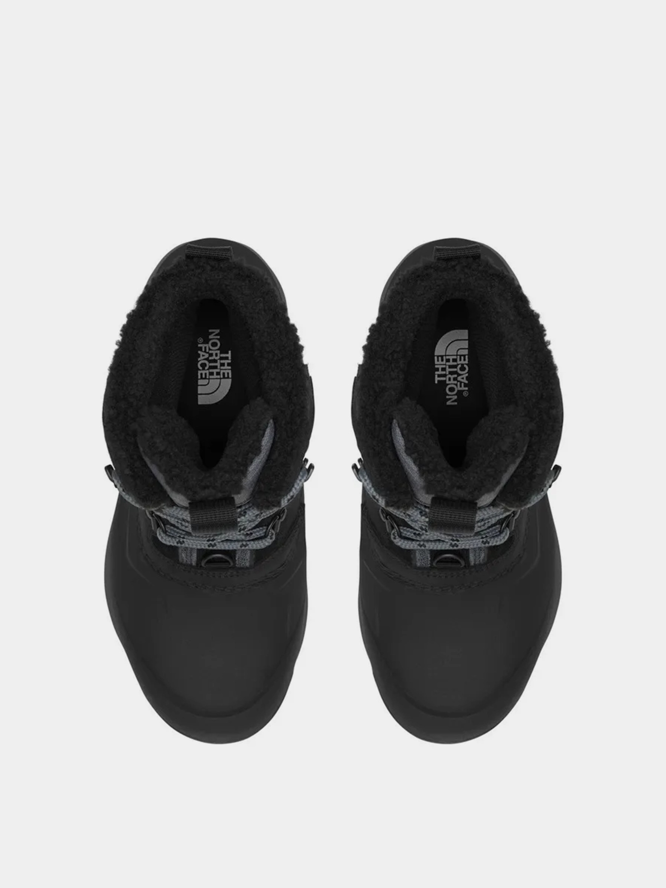 Черевики аутдор The North Face Chilkat V 400 Waterproof модель NF0A5LW1NY71 Фото