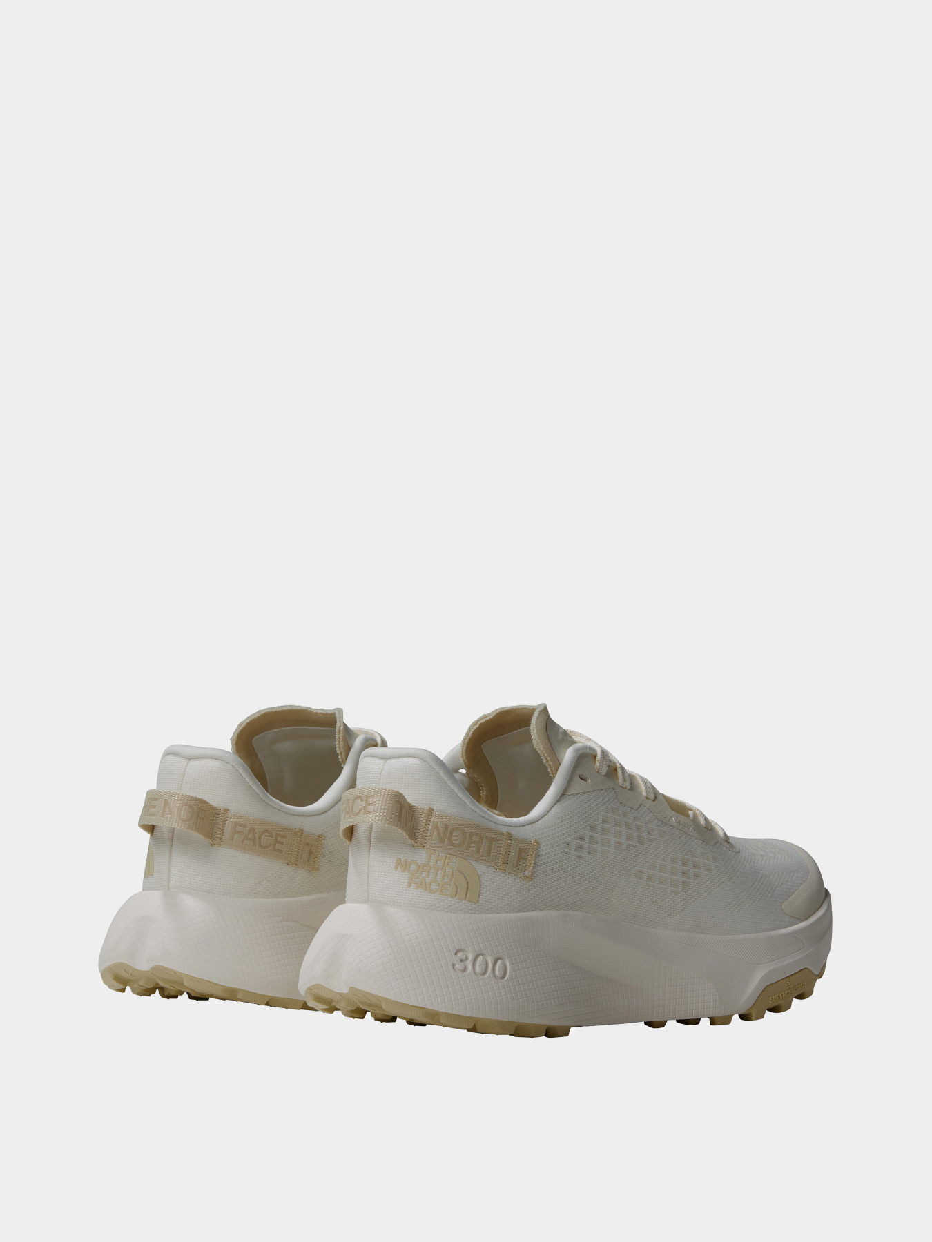 Кросівки для бігу The North Face Altamesa 300 Модель NF0A8A9SWID1 Фото