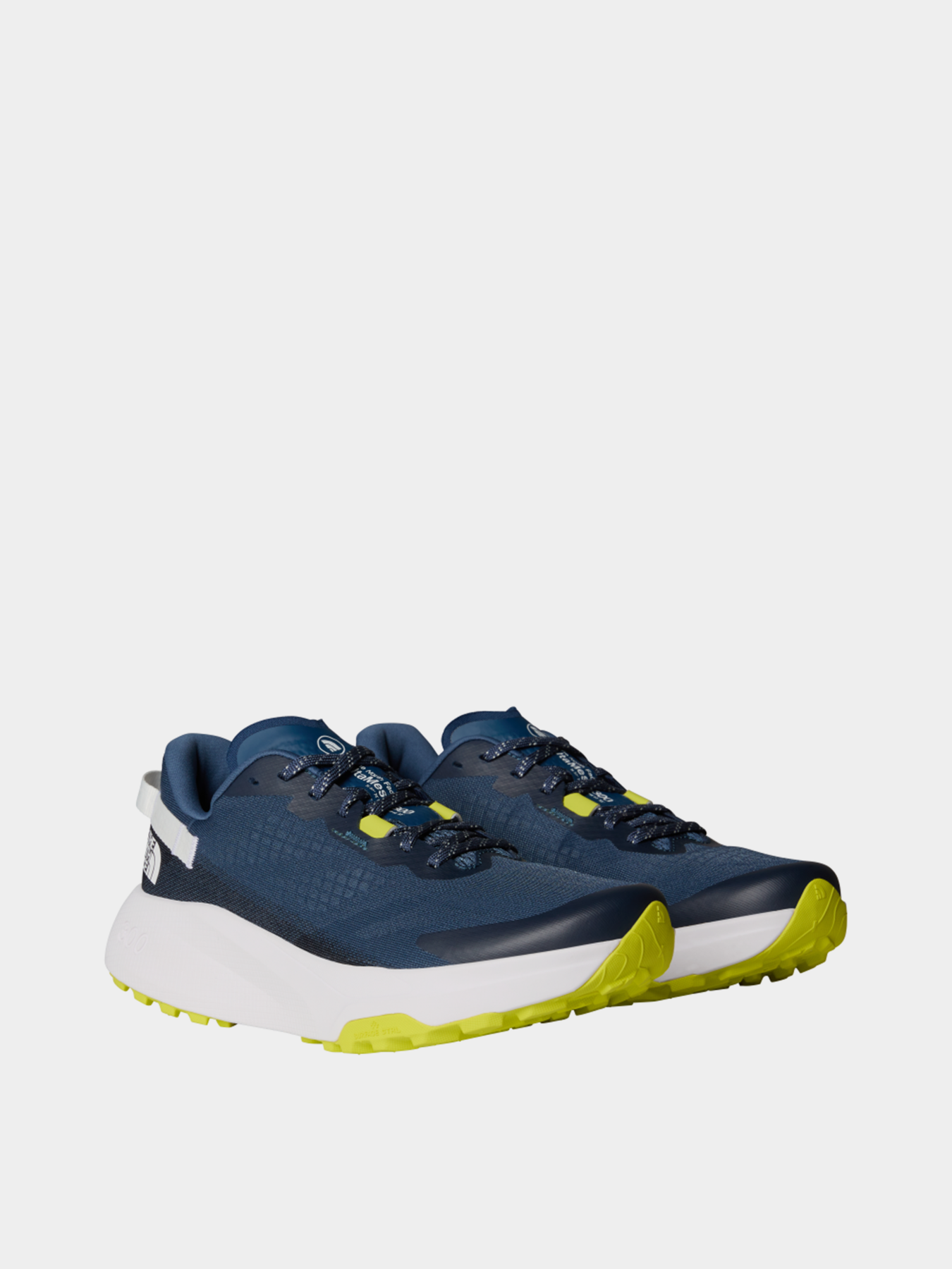 Кроссовки для бега The North Face Altamesa 300 Trail Running модель NF0A8A9R9261 Фото