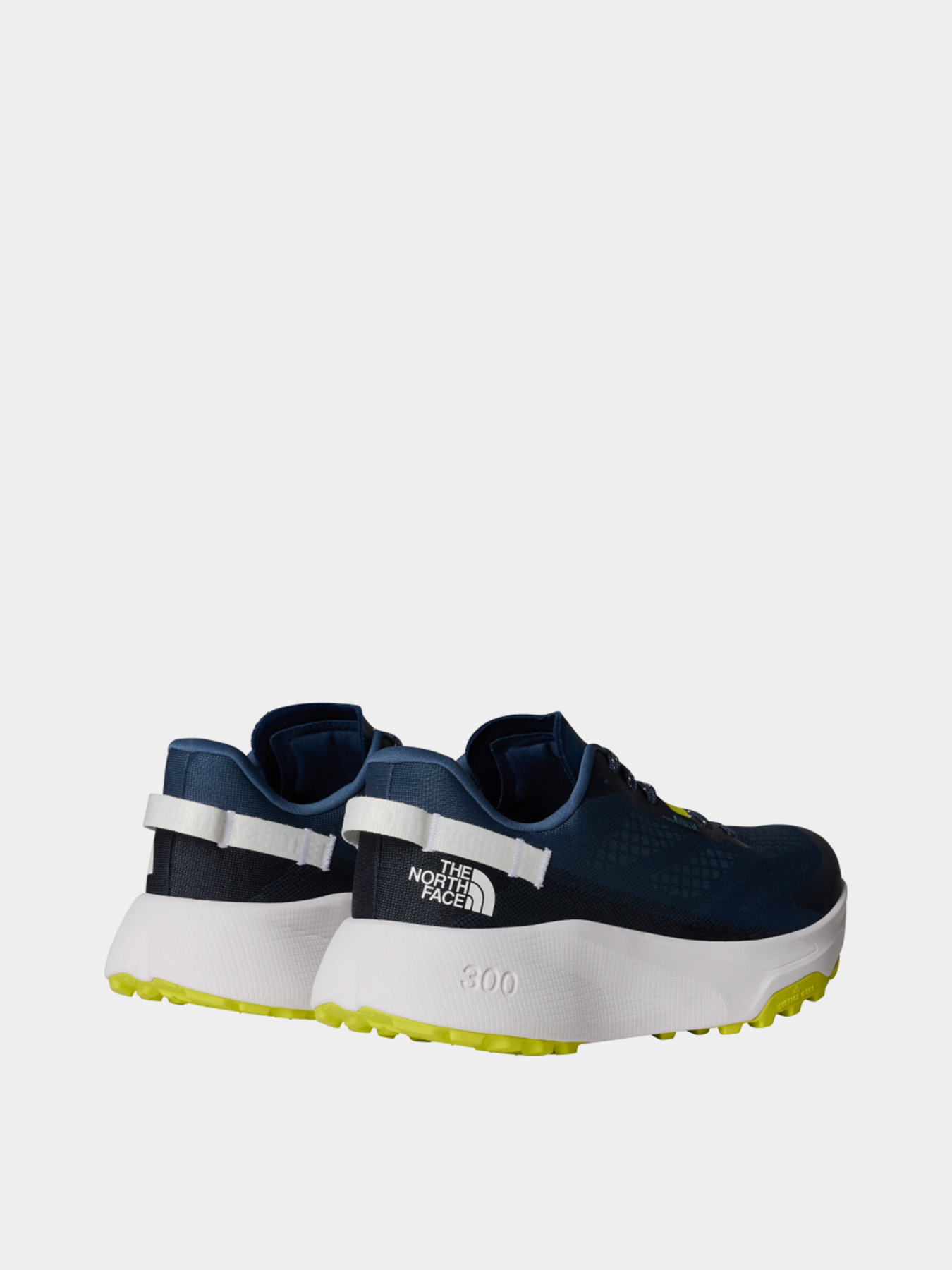 Кросівки для бігу The North Face Altamesa 300 Trail Running модель NF0A8A9R9261 Фото