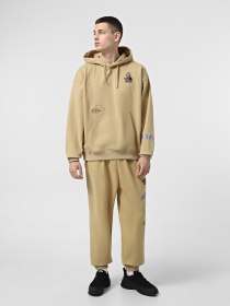 Кроссовки The North Face Glenclyffe Urban Low модель NF0A8A96KX71 Фото