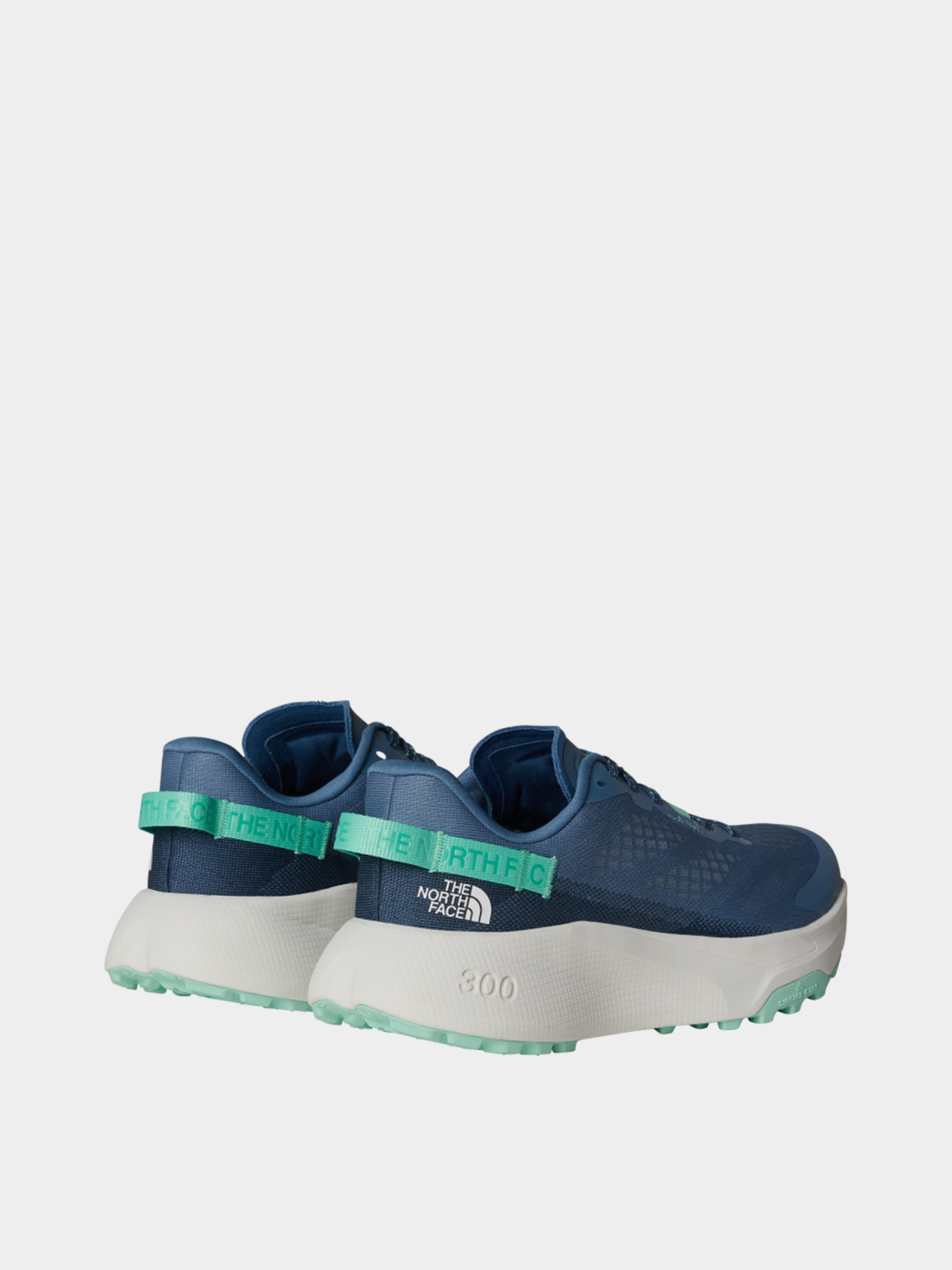 Кроссовки для бега The North Face Altamesa 300 модель NF0A8A9S80F1 Фото