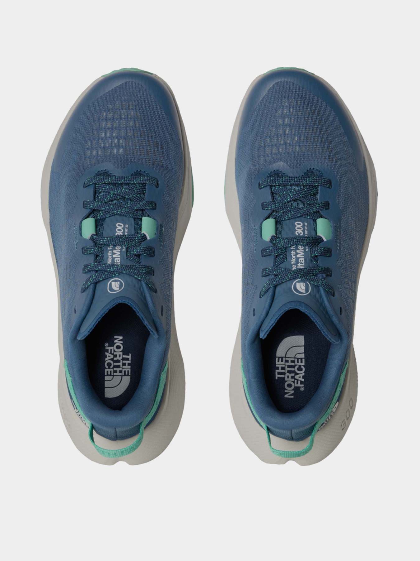Кроссовки для бега The North Face Altamesa 300 модель NF0A8A9S80F1 Фото