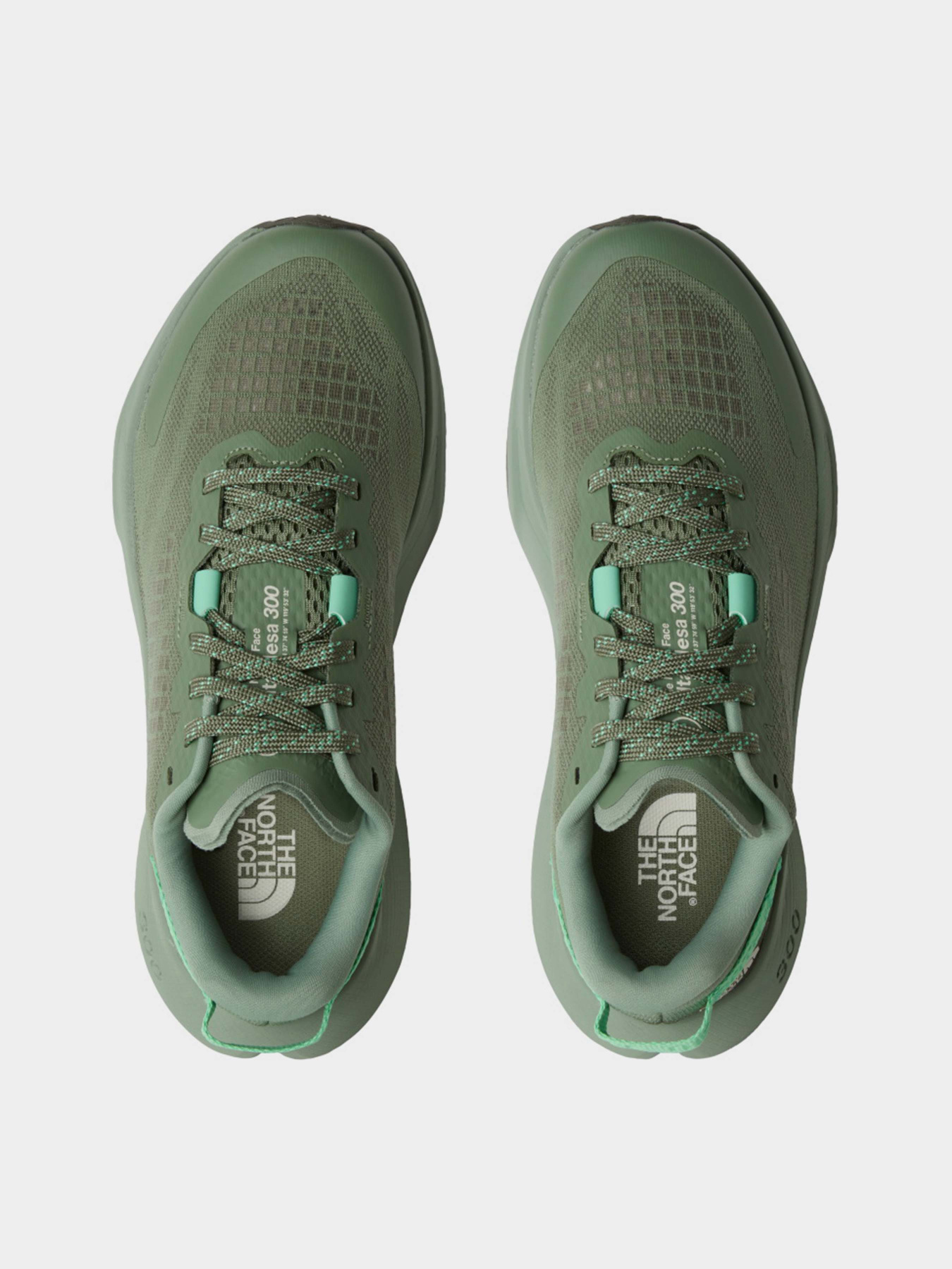 Кросівки для бігу The North Face Altamesa 300 Модель NF0A8A9SC711 Фото