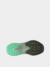 Кроссовки для бега The North Face Altamesa 300 модель NF0A8A9SC711 Фото