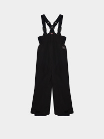 Лыжные штаны Napapijri Colbeck 2 модель NOYI5W_BLACK Фото