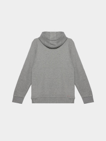 Худи Napapijri Benton Med модель NP000HUR1601 Фото