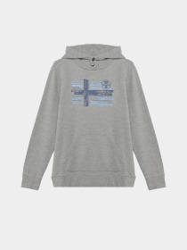 Худи Napapijri Benton Med модель NP000HUR1601 Фото