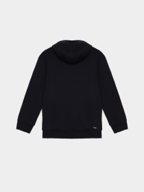 Худи Napapijri Benton модель NP000HUR1761 Фото