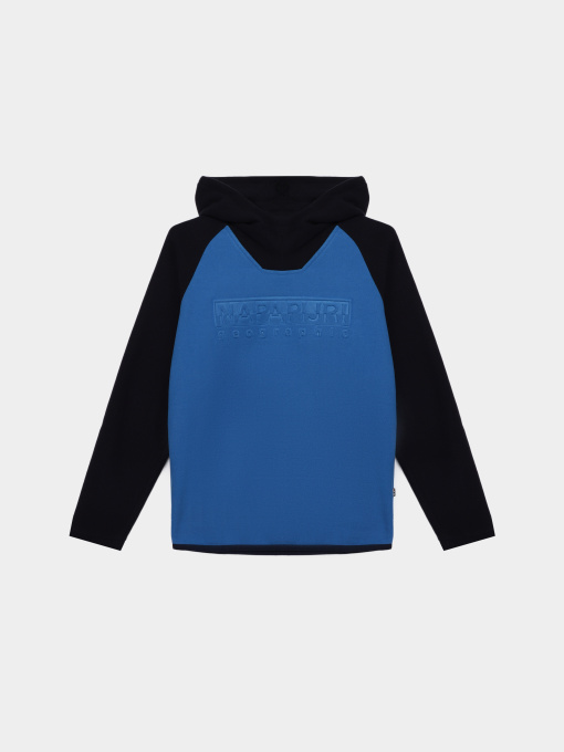 Худи Napapijri Tantan Hood модель NP000I1DM191 Фото