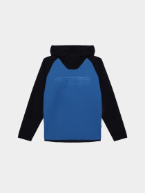 Худі Napapijri Tantan Hood модель NP000I1DM191 Фото