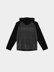 Худі Napapijri Tantan Hood модель NP000I1DM201 Фото