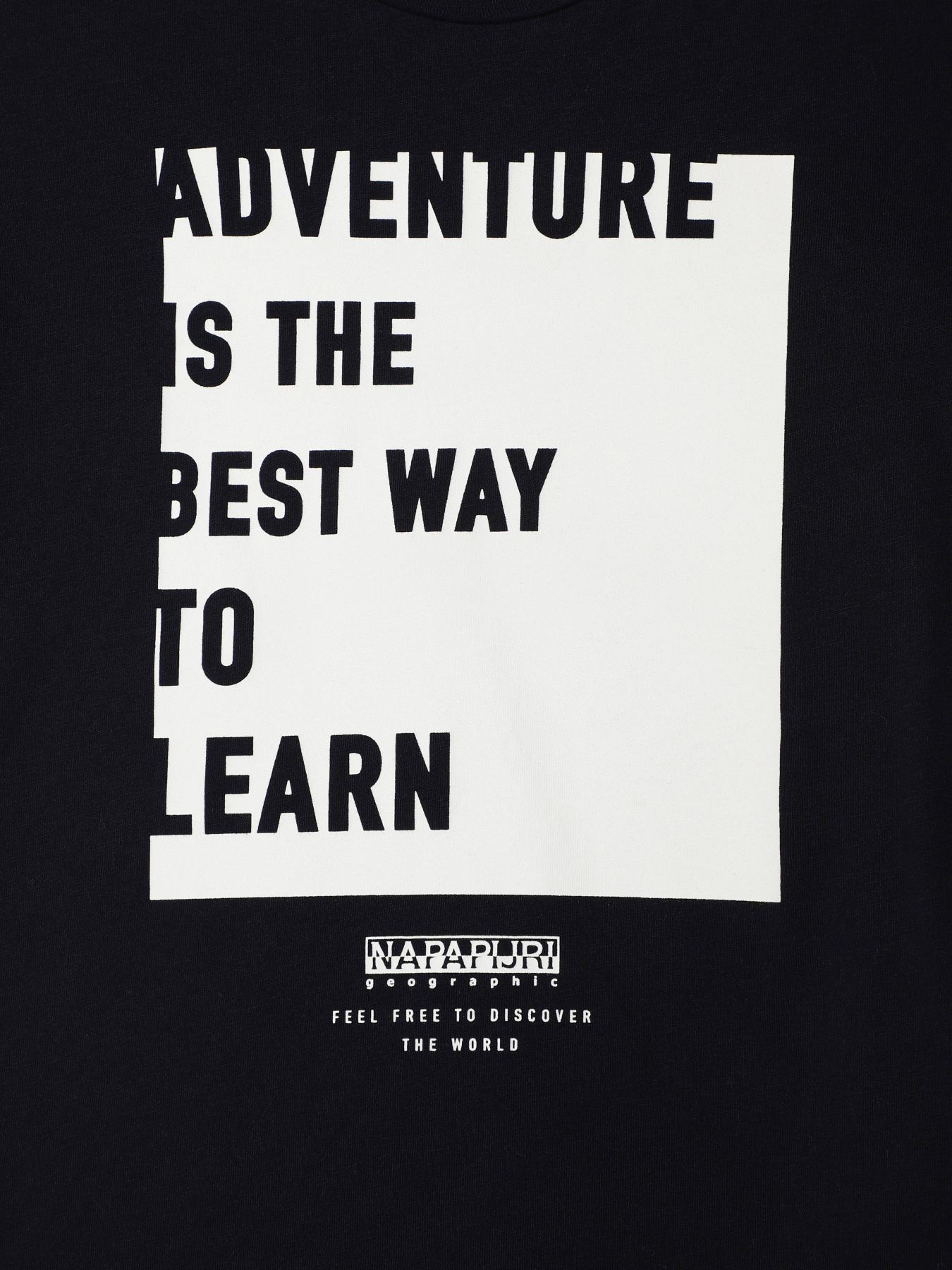 Футболка Napapijri Sarlyk модель NP000I1I1761 Фото