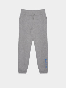 Штаны спортивные Napapijri Melo Med модель NP000I1N1601 Фото