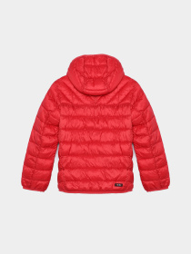 Зимова куртка Napapijri Aerons 2 Pop модель NP000I5YR411 Фото