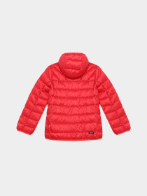 Зимова куртка Napapijri Aerons 2 High модель NP000I5YRA31 Фото