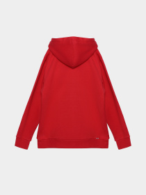 Худи Napapijri Burgee 2 модель NP000I7DR411 Фото