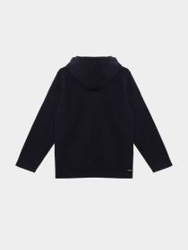 Худи Napapijri Taky H модель NP000KA01761 Фото