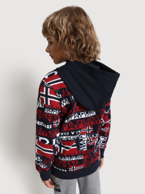 Худі Napapijri K Burgee Aop модель NP0A4FOSF7K1 Фото