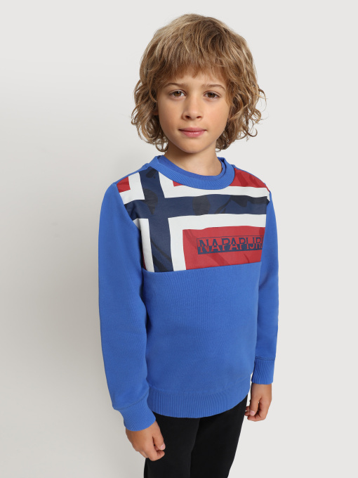 Свитшот Napapijri Beri модель NP0A4FOXBE11 Фото