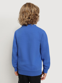 Свитшот Napapijri Beri модель NP0A4FOXBE11 Свитшот Napapijri Beri модель NP0A4FOXBE11 Фото