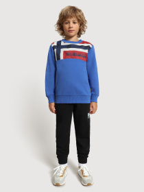 Свитшот Napapijri Beri модель NP0A4FOXBE11 Свитшот Napapijri Beri модель NP0A4FOXBE11 Фото