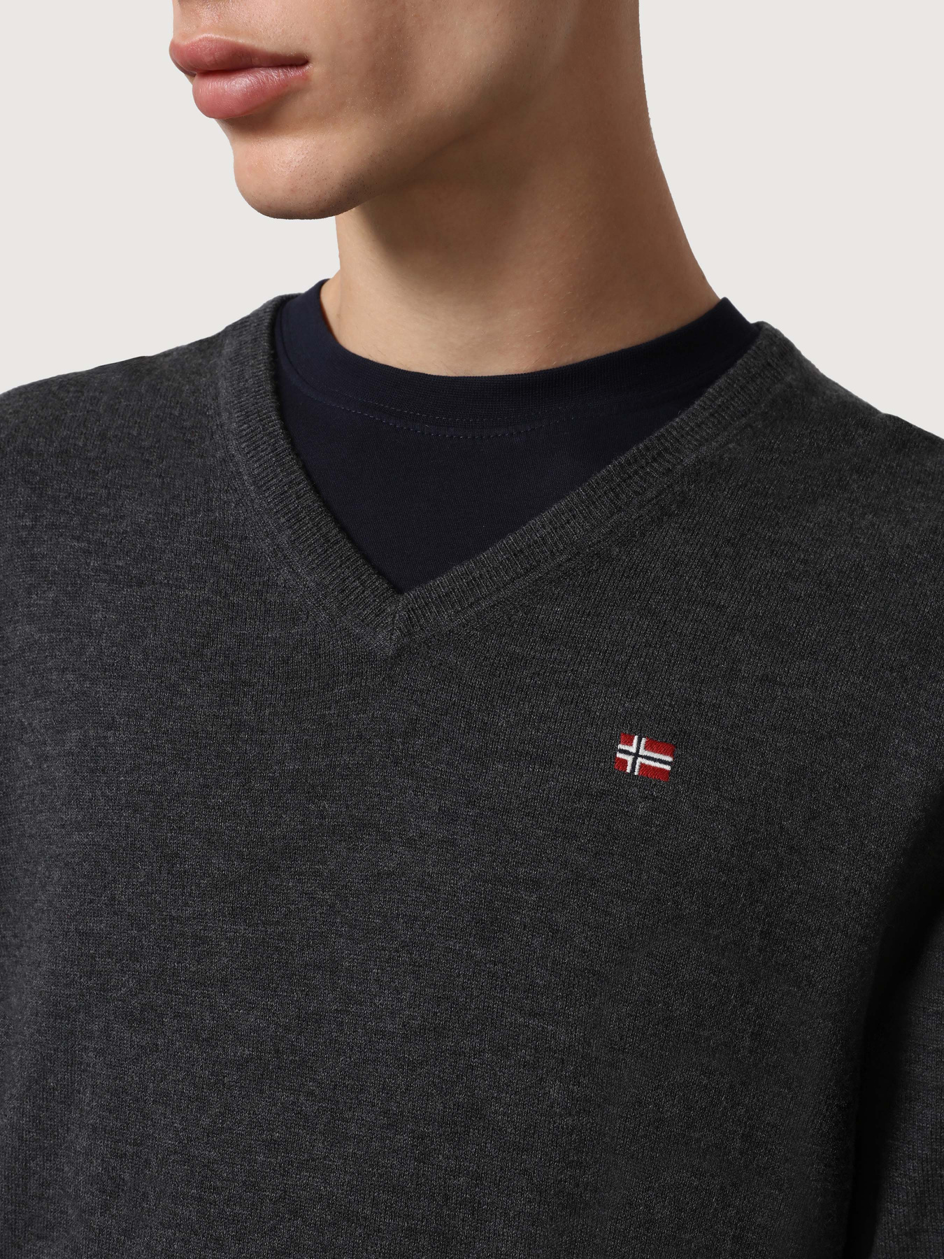 Джемпер Napapijri Damavand V 3 модель NP0A4FQ51971 Фото