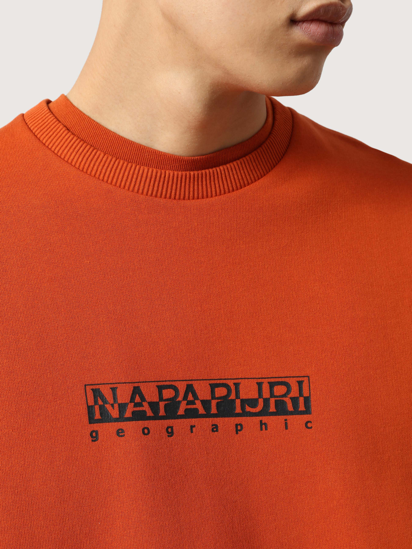 Свитшот Napapijri B-Box C 1 модель NP0A4FQSAB11 Фото