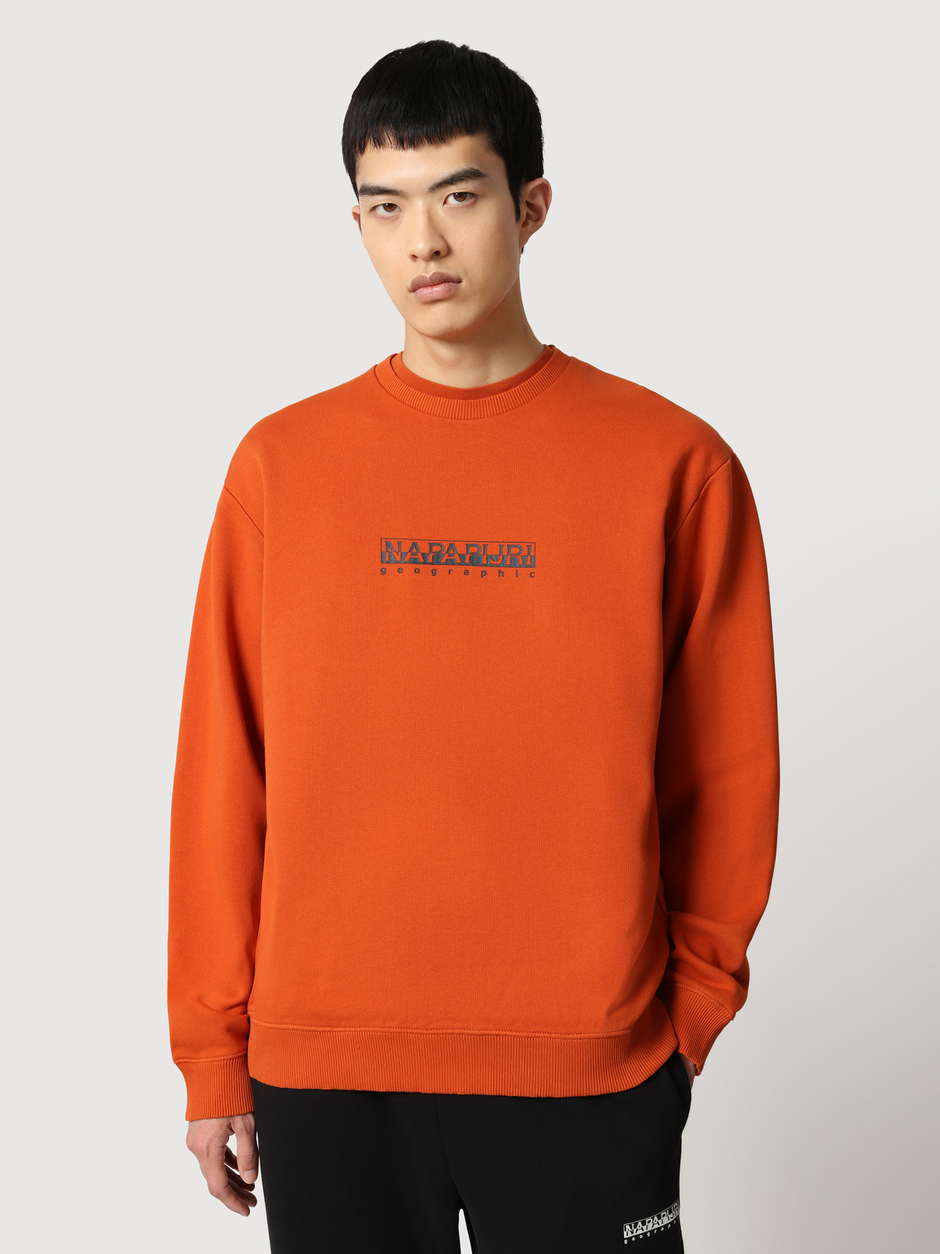 Свитшот Napapijri B-Box C 1 модель NP0A4FQSAB11 Фото