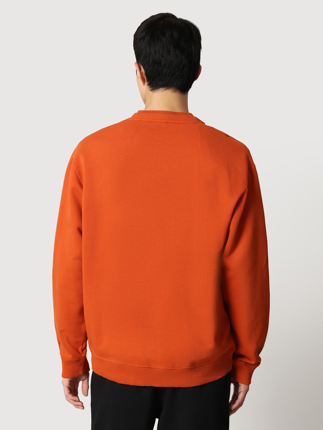 Свитшот Napapijri B-Box C 1 модель NP0A4FQSAB11 Свитшот Napapijri B-Box C 1 модель NP0A4FQSAB11 Фото