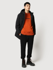 Свитшот Napapijri B-Box C 1 модель NP0A4FQSAB11 Свитшот Napapijri B-Box C 1 модель NP0A4FQSAB11 Фото