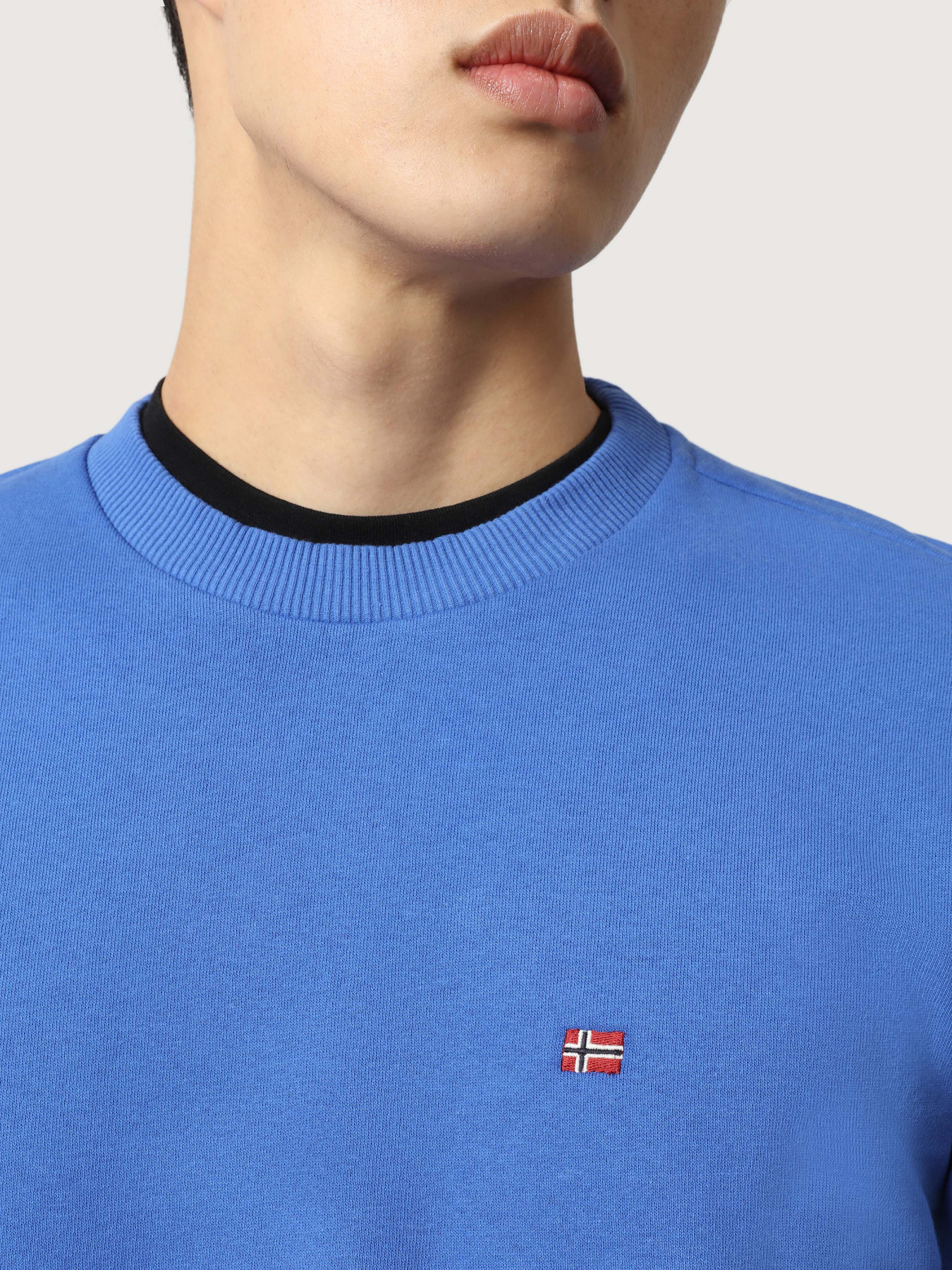 Свитшот Napapijri Balis Crew 1 модель NP0A4FQWBE11 Фото