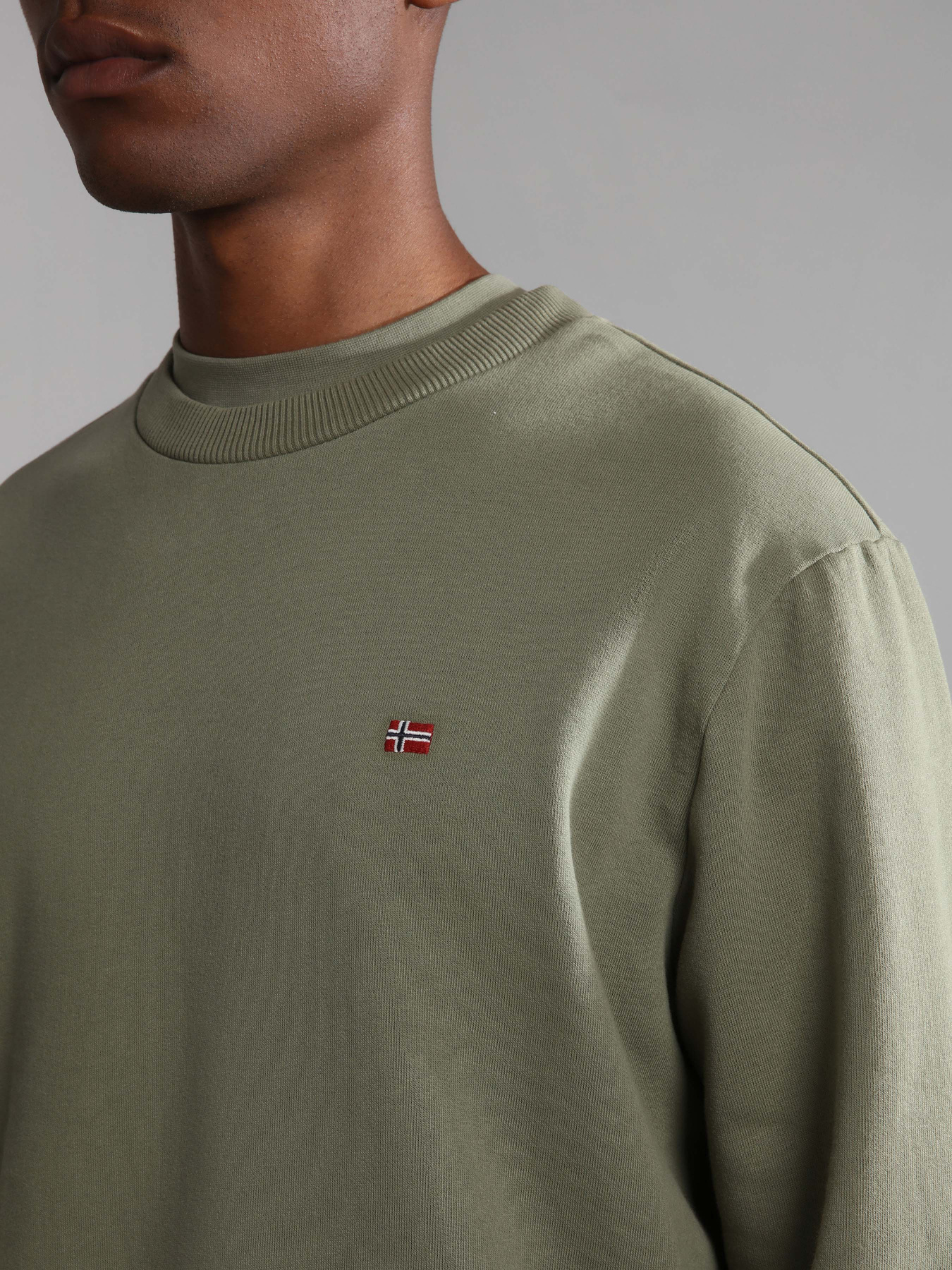 Свитшот Napapijri Balis Crew 1 модель NP0A4FQWGAE1 Фото