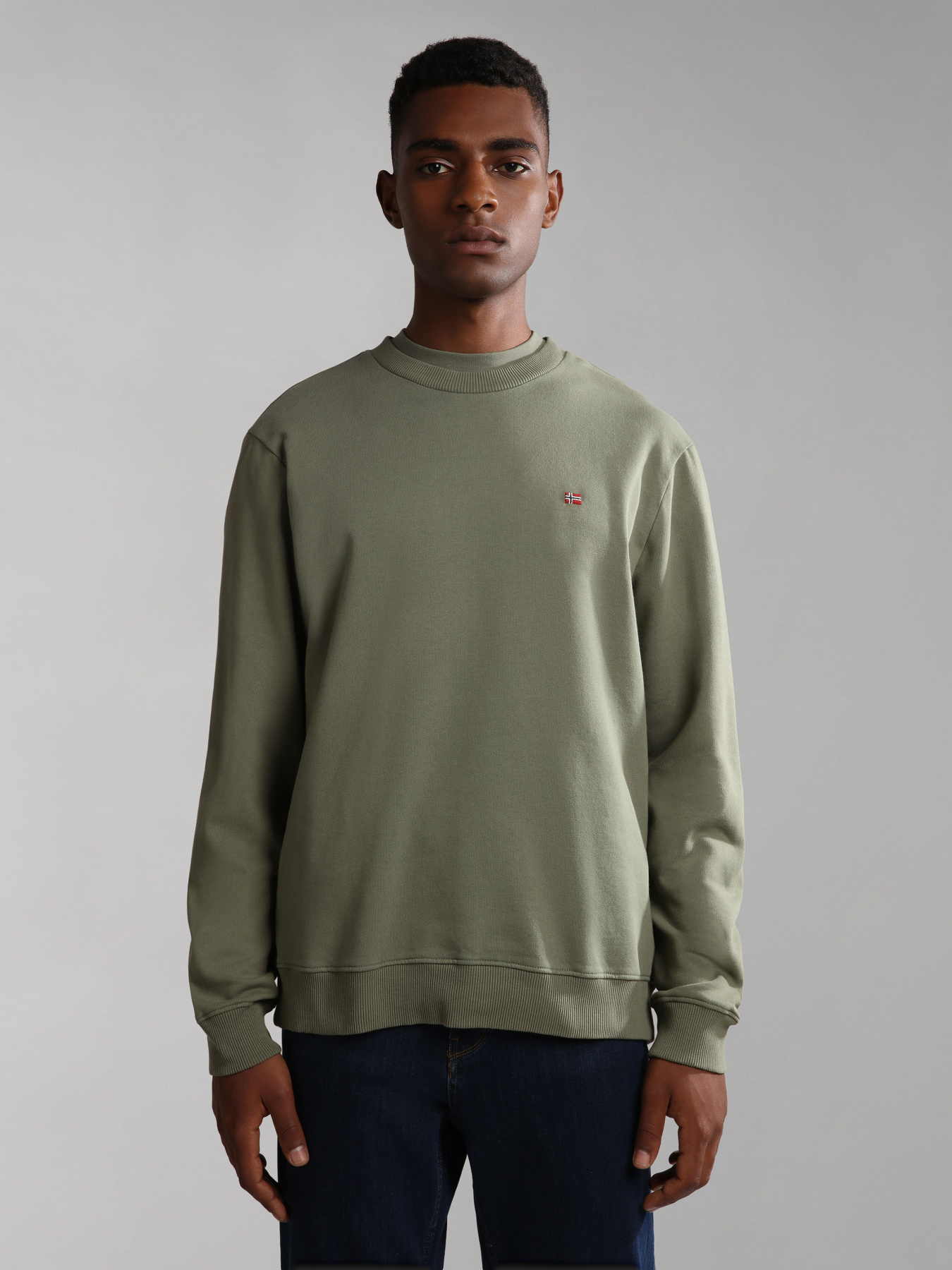 Свитшот Napapijri Balis Crew 1 модель NP0A4FQWGAE1 Свитшот Napapijri Balis Crew 1 модель NP0A4FQWGAE1 Фото