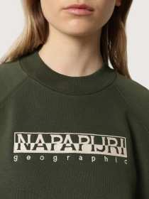 Свитшот Napapijri Bebel C W 1 модель NP0A4FSBGE41 Фото