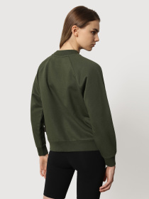 Світшот Napapijri Bebel C W 1 модель NP0A4FSBGE41 Фото