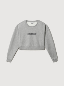 Свитшот Napapijri B-Box модель NP0A4FSE1601 Фото