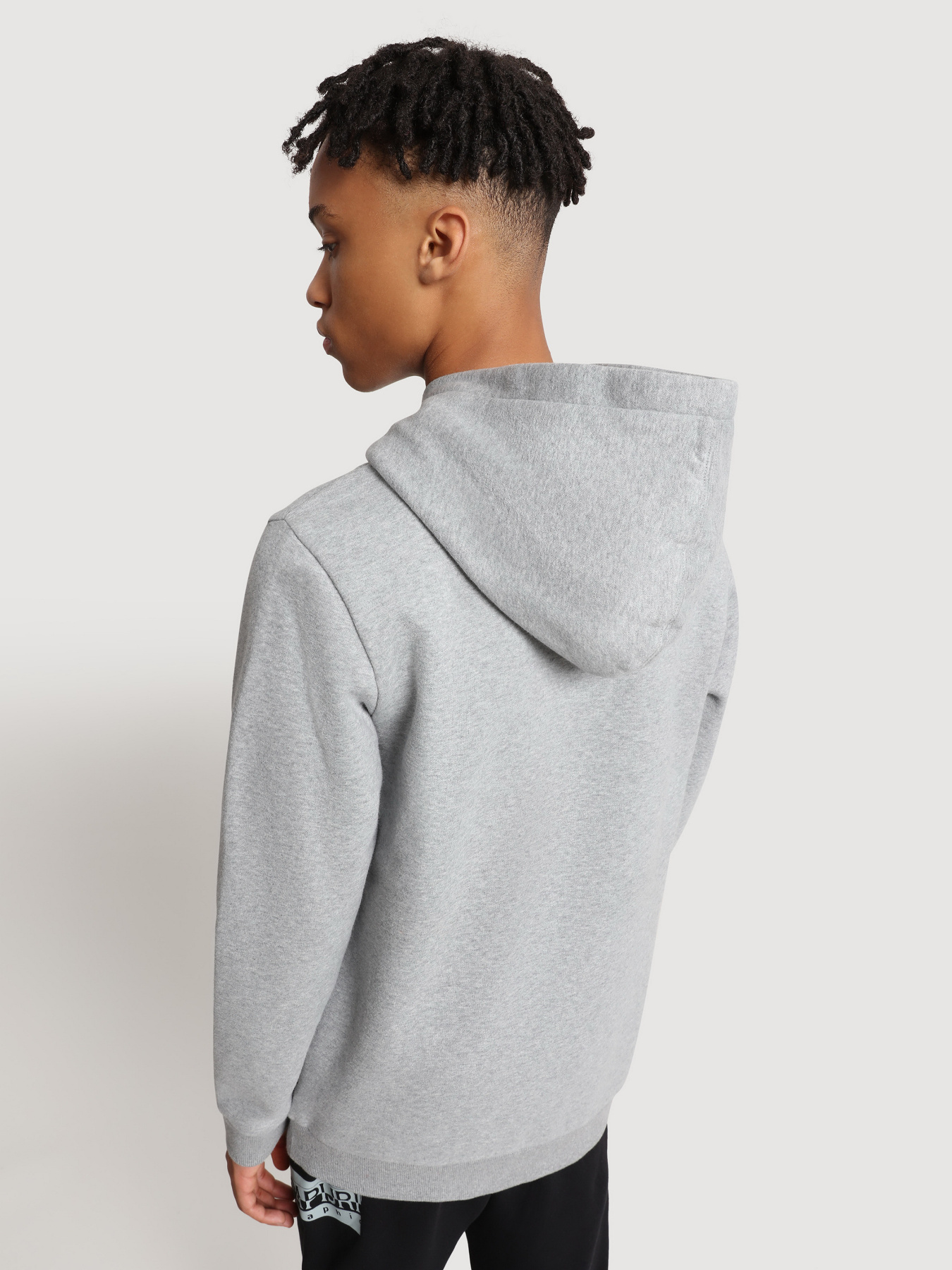 Худи Napapijri Burgee модель NP0A4FW11601 Фото