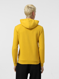 Худи Napapijri Burgee Lo модель NP0A4FXDY8N1 Фото