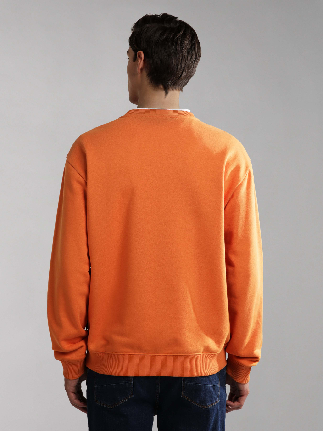 Свитшот Napapijri B-Box C S 1 модель NP0A4GBFAA3S Фото