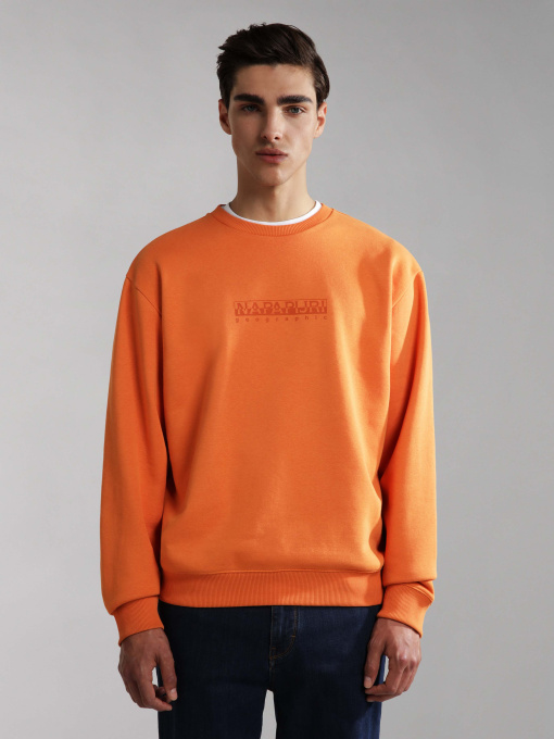 Свитшот Napapijri B-Box C S 1 модель NP0A4GBFAA3S Фото