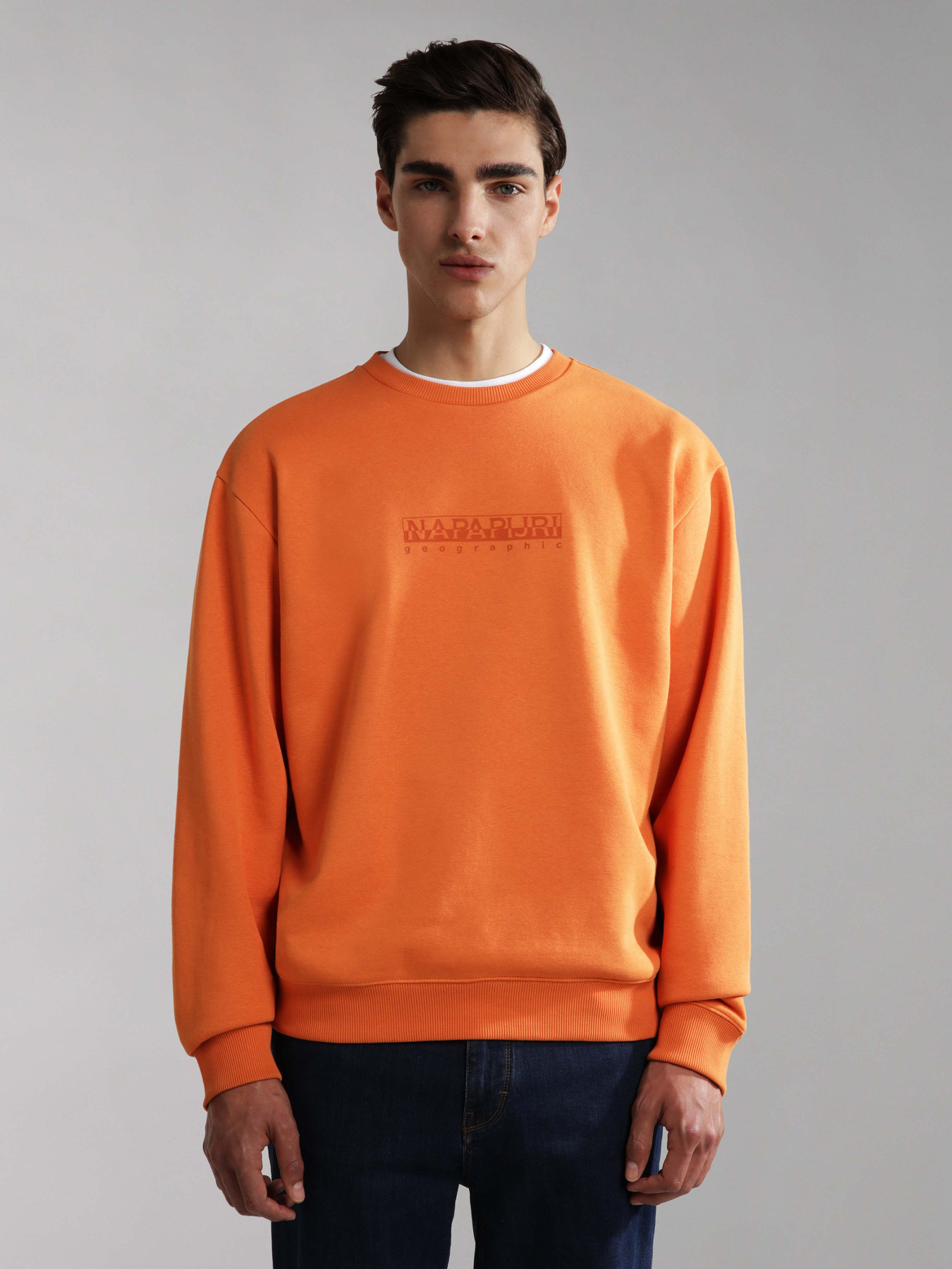 Світшот Napapijri B-Box C S 1 модель NP0A4GBFAA3S Фото