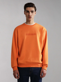 Світшот Napapijri B-Box C S 1 модель NP0A4GBFAA3S Фото