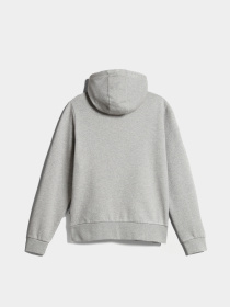 Худи Napapijri Balis H W 1 модель NP0A4GD41601 Худи Napapijri Balis H W 1 модель NP0A4GD41601 Фото