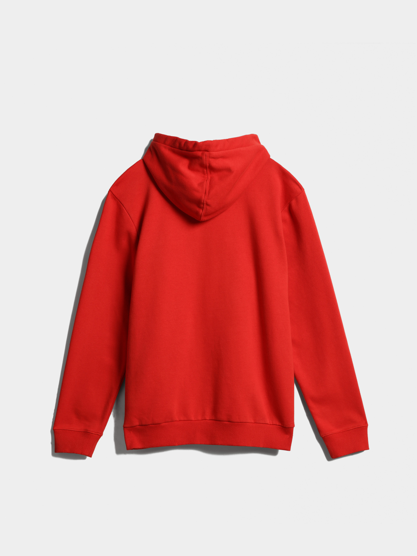 Худі Napapijri Burgee Wint 2 модель NP0A4GJDRR9S Фото