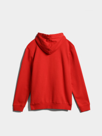 Худі Napapijri Burgee Wint 2 модель NP0A4GJDRR9S Фото