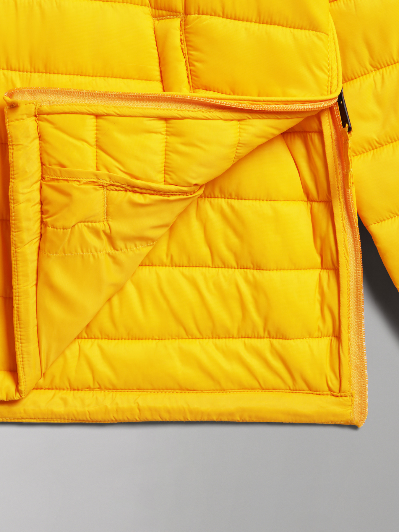 Зимова куртка Napapijri A-Morgex Hzh модель NP0A4GJJYE1S Фото