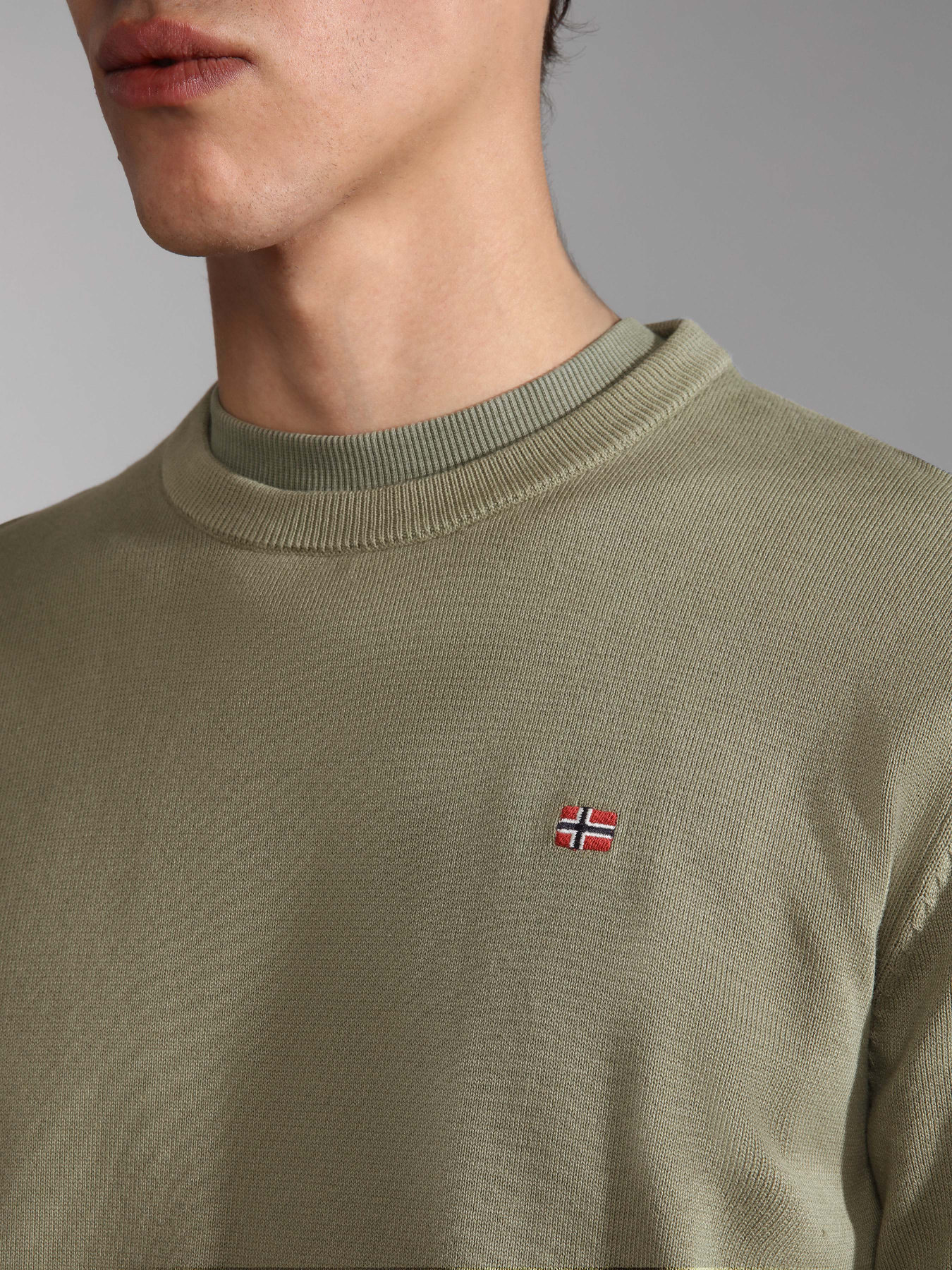 Джемпер Napapijri Droz 4 модель NP0A4GJPGAE1 Фото