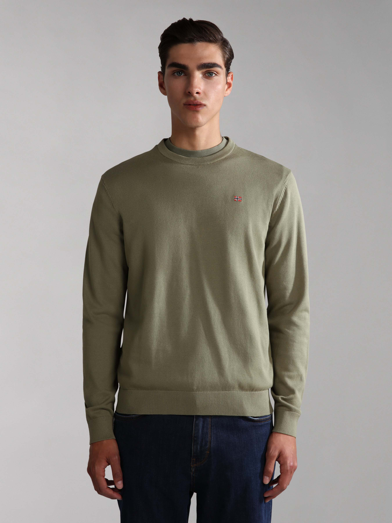 Джемпер Napapijri Droz 4 модель NP0A4GJPGAE1 Фото