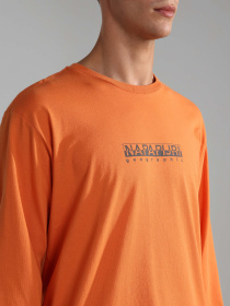 Свитшот Napapijri S-Box Ls 3 модель NP0A4GK7AA31 Фото